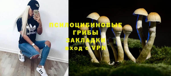 стаф Надым