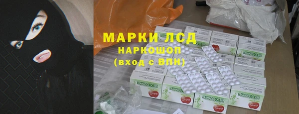 стаф Надым