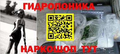 PSILOCYBIN Гусиноозёрск