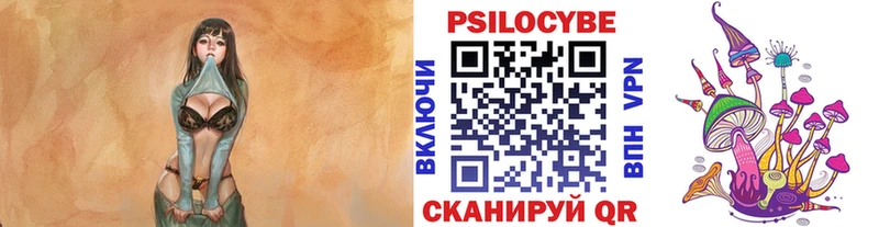 Галлюциногенные грибы Cubensis  где продают   Камень-на-Оби 