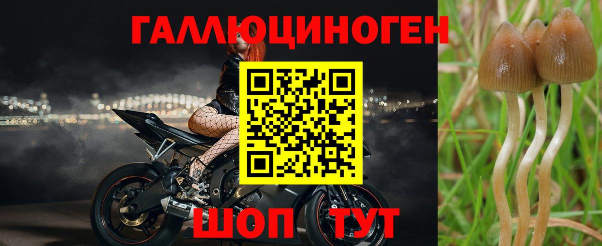 Галлюциногенные грибы GOLDEN TEACHER Камень-на-Оби