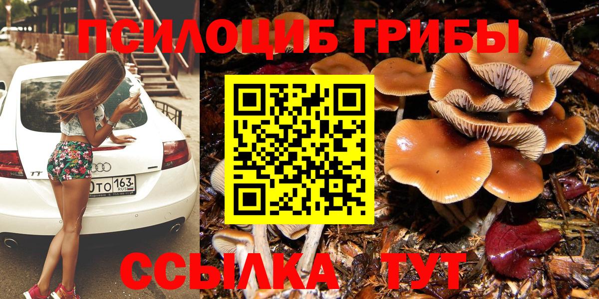 Камень-на-Оби  Галлюциногенные грибы Psilocybe  Вход с VPN  Псилоцибиновые грибы мицелий 